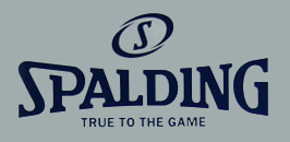 Spalding - True To The Game